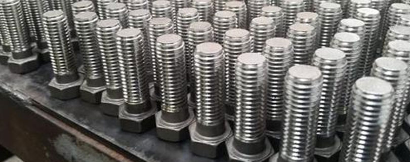Stainless Steel 304l Fasteners