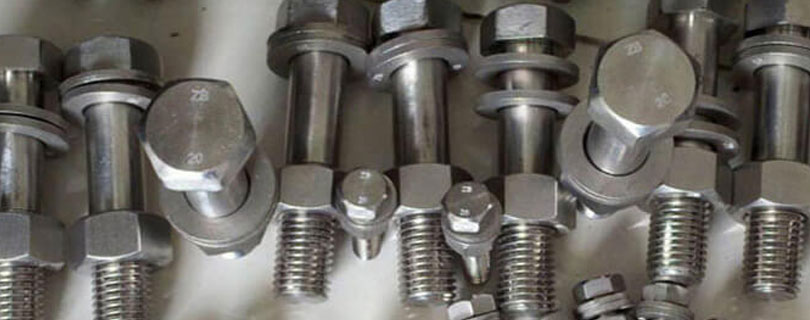 Hastelloy C22 Fasteners