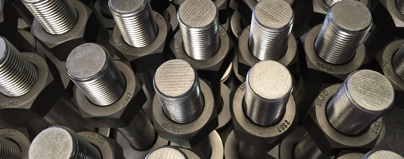 Stainless Steel 310 Fasteners