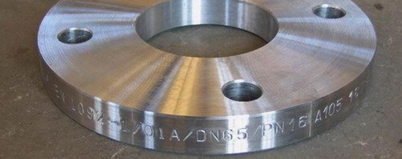 Stainless Steel 317L Flange
