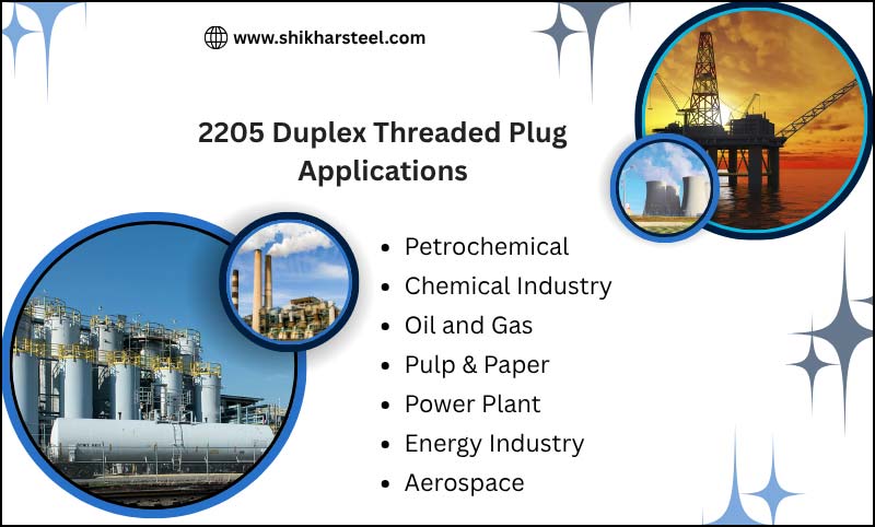 2205 Duplex Threaded Plug Applications