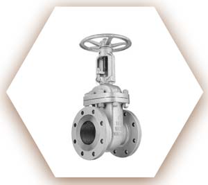 2507 Super Duplex Gate Valve