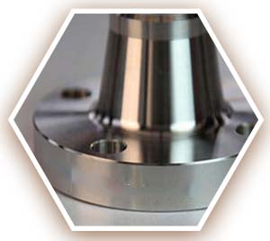 316L SS Weld Neck Flange