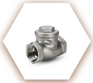 4A Stainless Check Valve