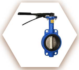 6 Wafer Butterfly Valve