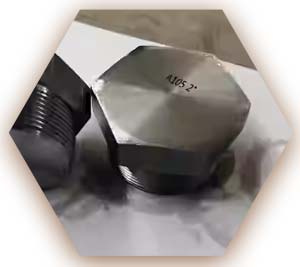 A105 Carbon Steel Threaded Plug