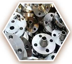 A182 304L Weld Neck Flange