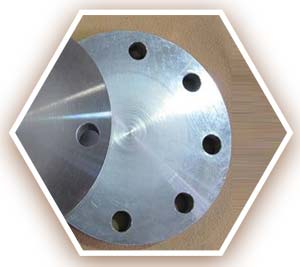 A182 310 Blind Flange