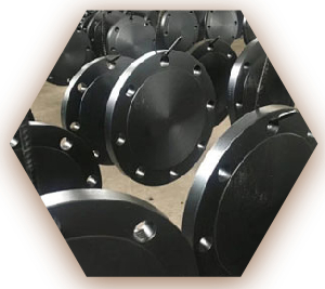 A350 LF2 Cl 1 Blind Flange