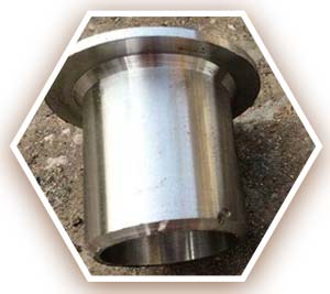 A403 Grade WP304L Short Stub End