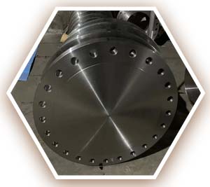 A694 F65 Blind Flange