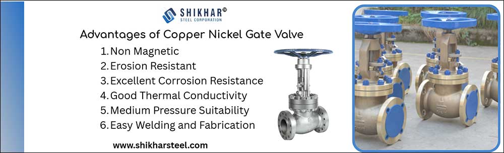 Advantages of Copper Nickel Gate Valve