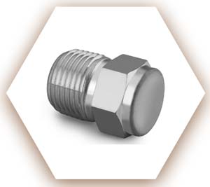 Alloy 2205 Threaded Plug