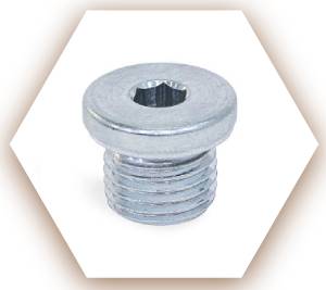 Alloy 625 Threaded Plug