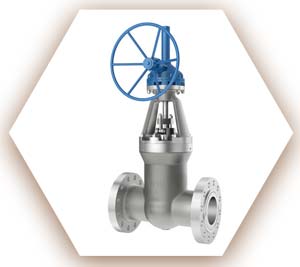 Alloy C22 Gate Valve