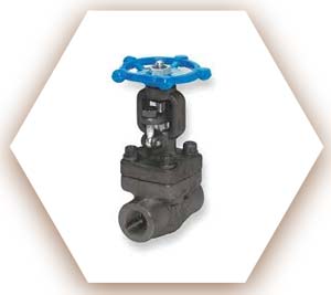 Alloy Gate Valve