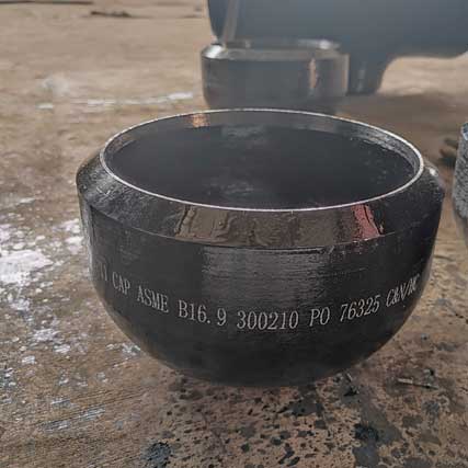 Alloy Steel End Cap