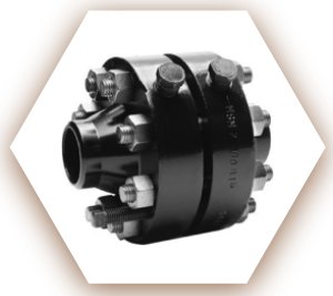 Alloy Steel F22 Orifice Flange
