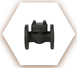 Alloy Steel F5 Check Valve
