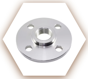 Aluminium 6061-T6 Threaded Flange