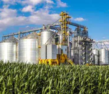 Food Processing