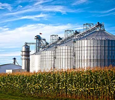 Biofuels plant
