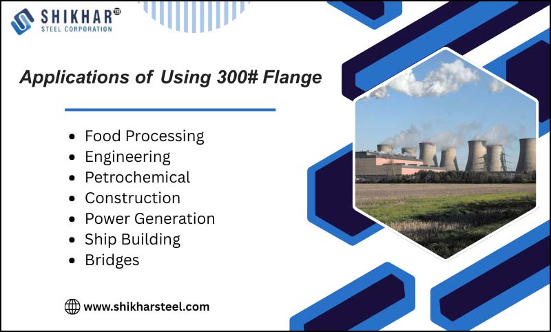 Applications of Using 300# Flange