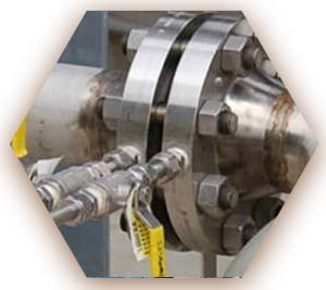 ASME 300 LBS Orifice Flanges