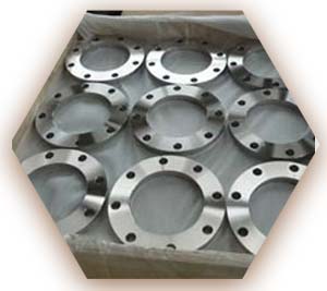 ASME B16.5 Class 300 Plate Flanges