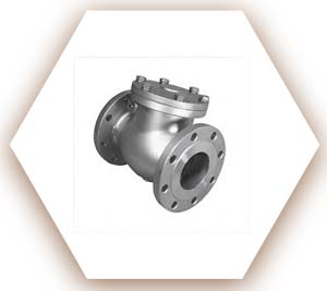 ASTM A182 F51 Check Valve