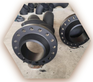 ASTM A350 Gr LF2 Cl 1 Weld Neck Flange
