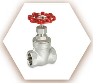 ASTM A351 Stainless Steel Gate Valve