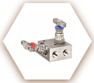ASTM A351 Stainless Steel Manifold Valve