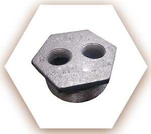 ASTM A815 UNS S32205 Threaded Bushings