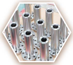 ASTM F304L Long Neck Flanges