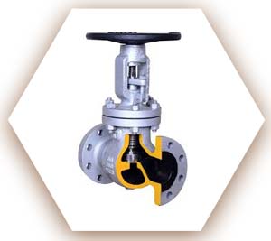 Bellow Seal Globe Valve