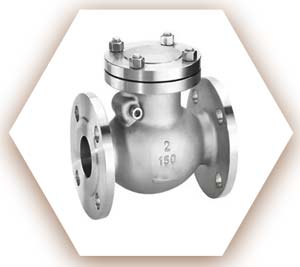 C276 Hastelloy Check Valve