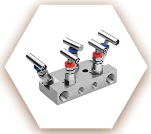 C276 Manifold Valve