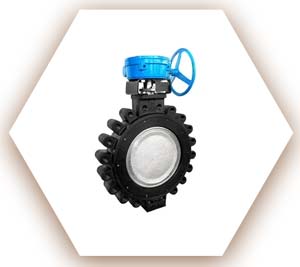 Carbon Butterfly Valve
