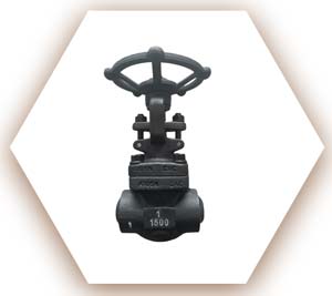 Carbon Steel Gate Valve