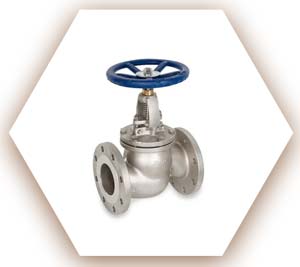 CF8M SS Globe Valve