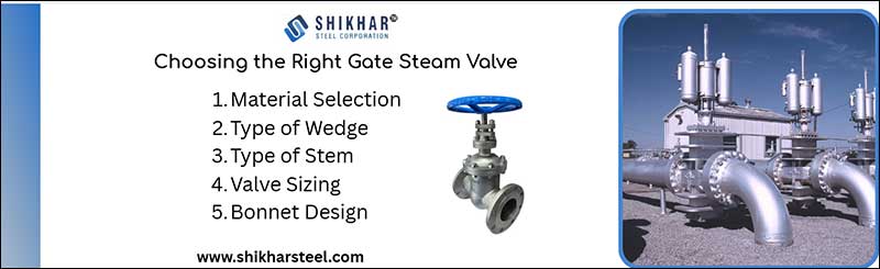 Choosing the Right Gate Steam Valve