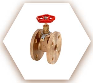 Copper Nickel Check Valve