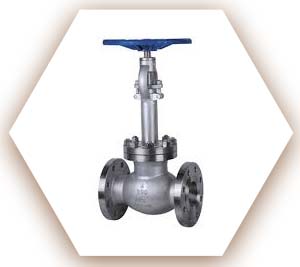 Cryogenic Globe Valve