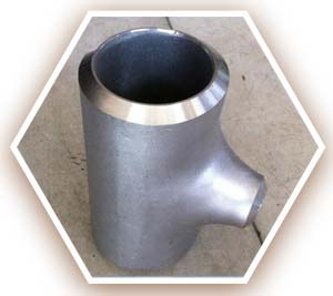 DIN 1.4841 Reducing Tee