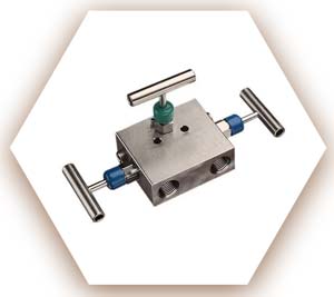 DIN 2.4066 Manifold Valve