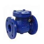 Ductile Iron Swing Check Valve