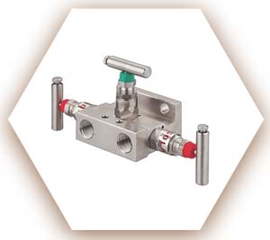 Duplex 2205 Manifold Valve