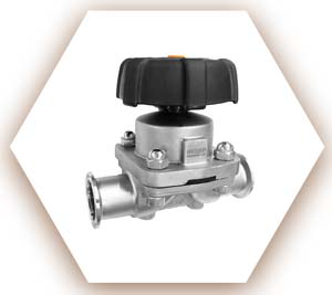 Duplex SS Diaphragm Valve