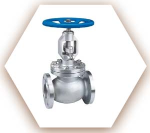Duplex Stainless Steel Globe Valve